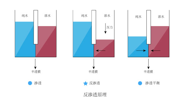 图片12